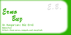 erno buz business card